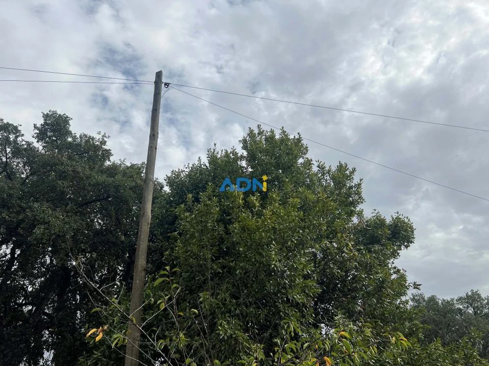 Quinta T1 para Venda em Louriçal do Campo Foto 55