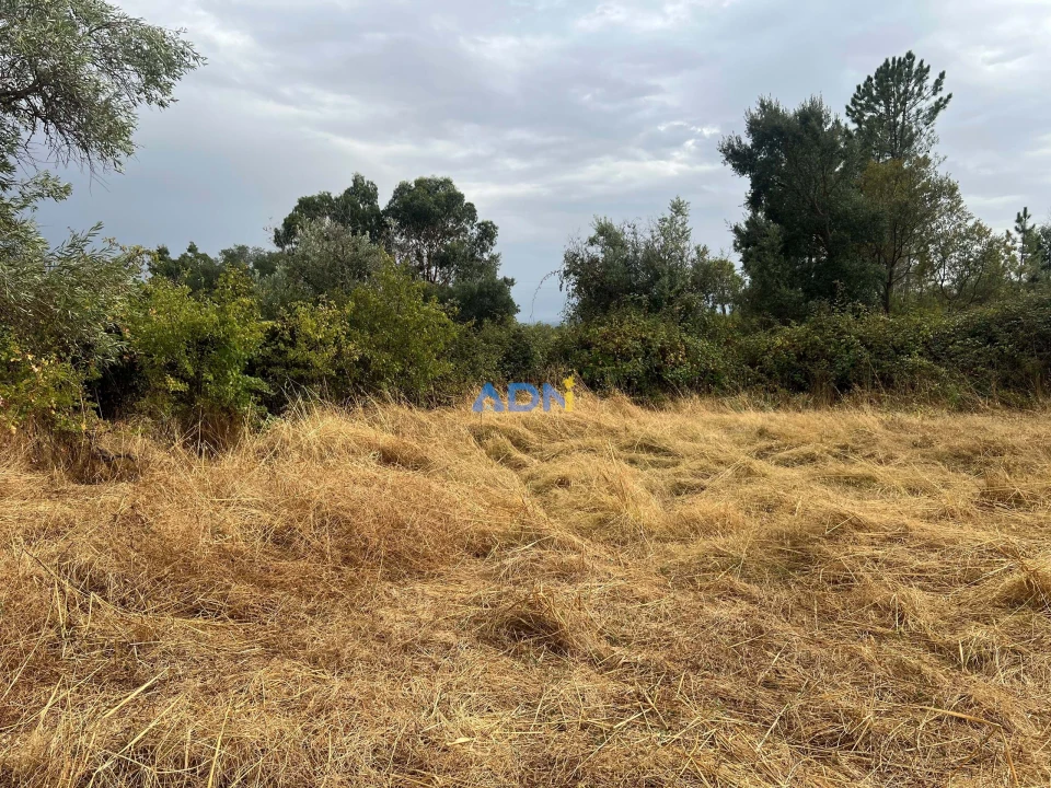 Quinta T1 para Venda em Louriçal do Campo Foto 47