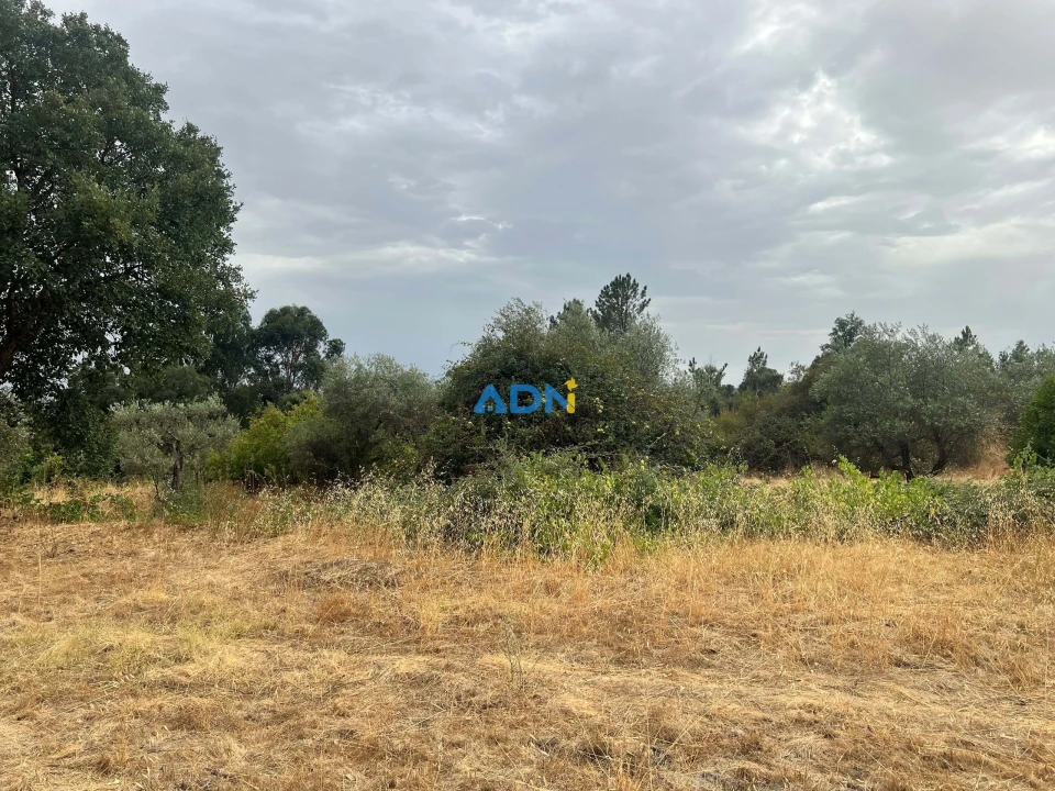 Quinta T1 para Venda em Louriçal do Campo Foto 41