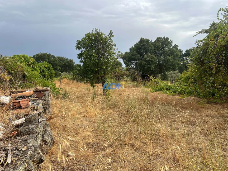 Quinta T1 para Venda em Louriçal do Campo Foto 38