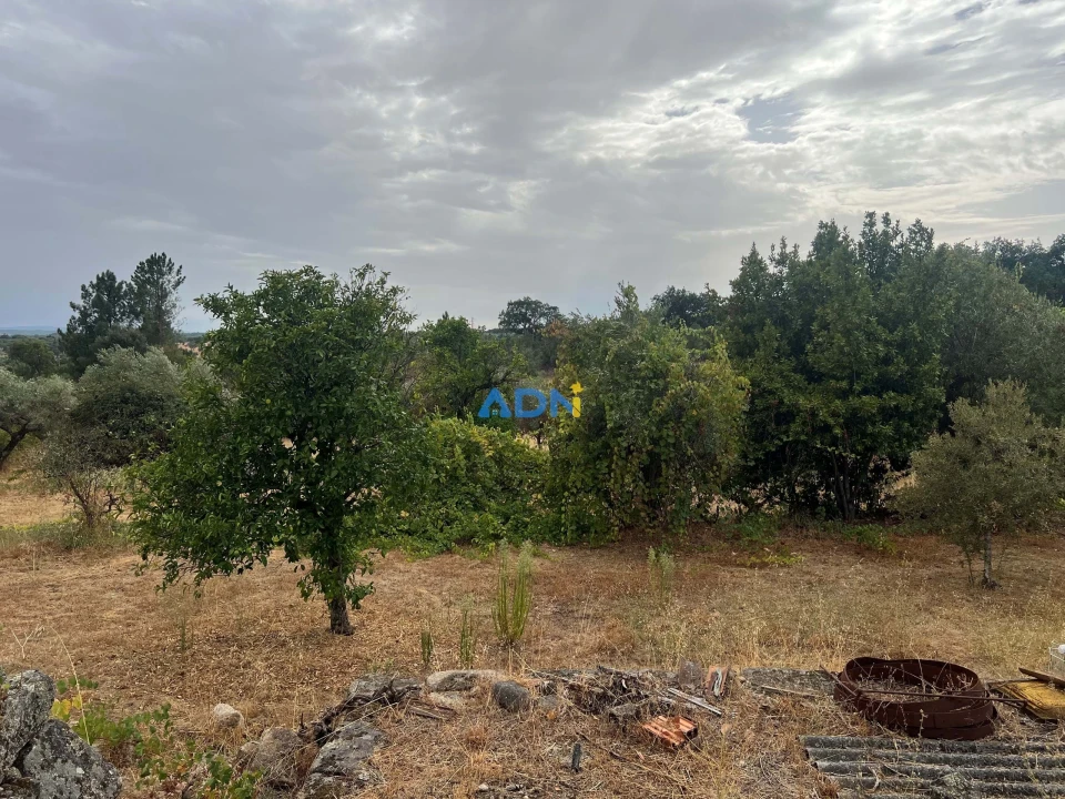 Quinta T1 para Venda em Louriçal do Campo Foto 25