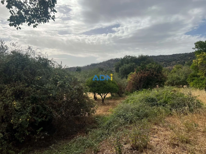 Quinta T1 para Venda em Louriçal do Campo Foto 44