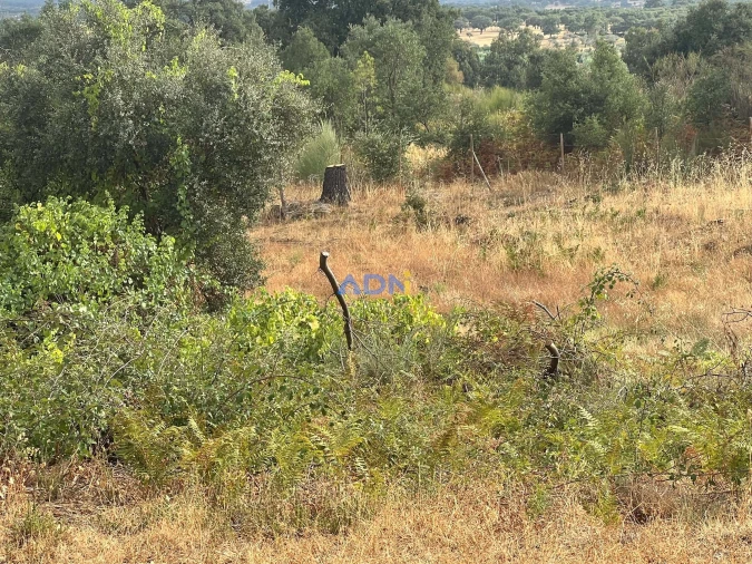 Quinta T1 para Venda em Louriçal do Campo Foto 66