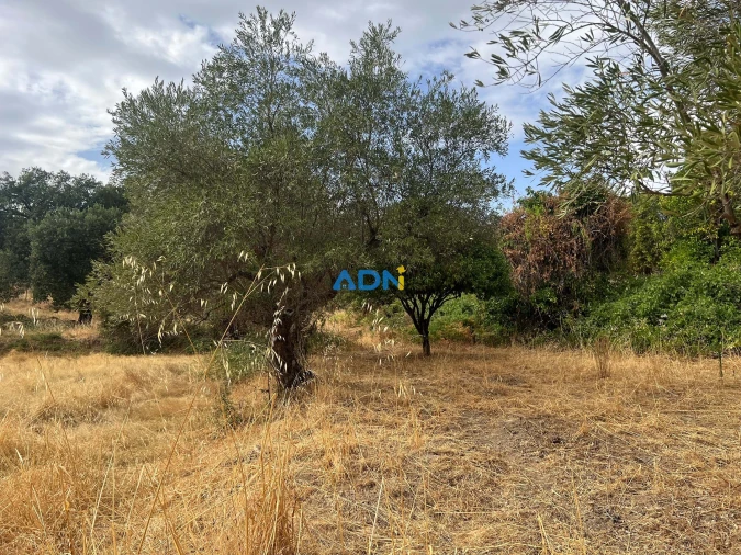 Quinta T1 para Venda em Louriçal do Campo Foto 49