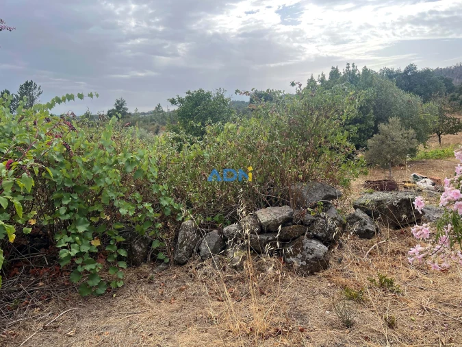 Quinta T1 para Venda em Louriçal do Campo Foto 23