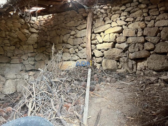 Quinta T1 para Venda em Louriçal do Campo Foto 36