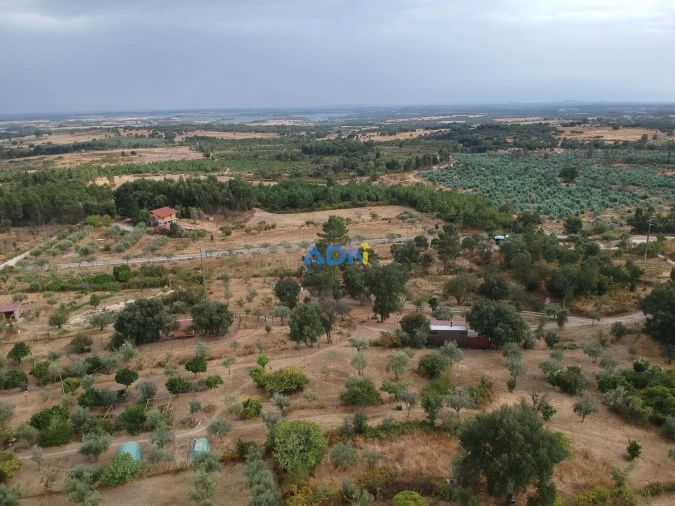 Quinta T1 para Venda em Louriçal do Campo Foto 8