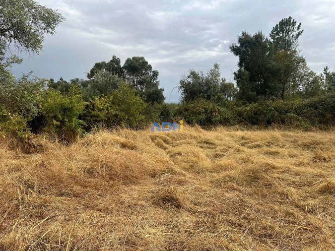 Quinta T1 para Venda em Louriçal do Campo Foto 47