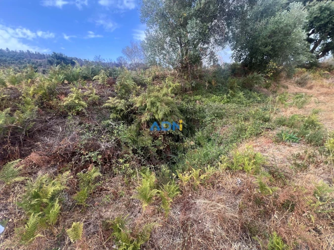 Quinta T1 para Venda em Louriçal do Campo Foto 61