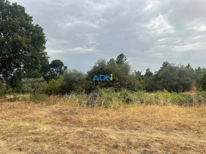 Quinta T1 para Venda em Louriçal do Campo Foto 41