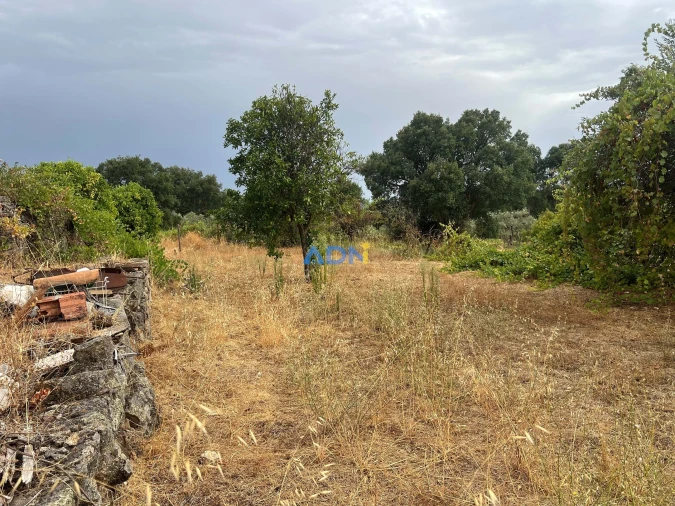 Quinta T1 para Venda em Louriçal do Campo Foto 38