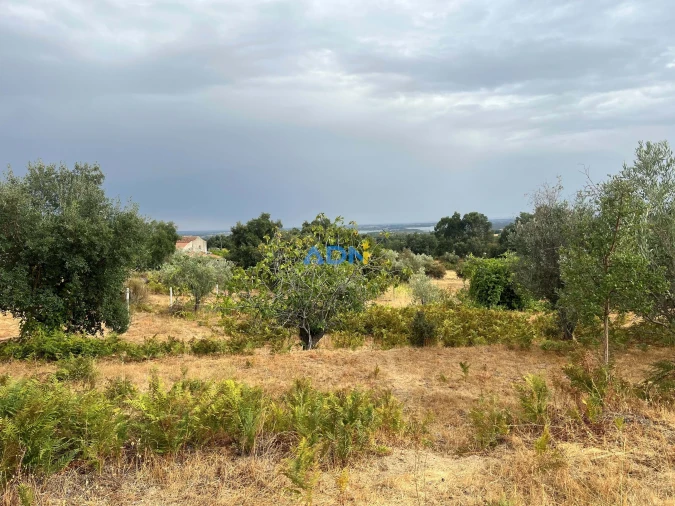 Quinta T1 para Venda em Louriçal do Campo Foto 63