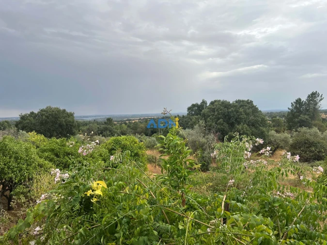 Quinta T1 para Venda em Louriçal do Campo Foto 21