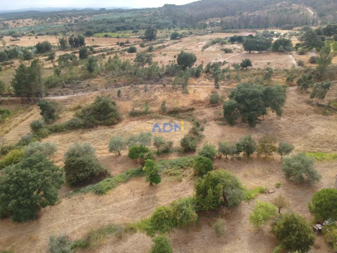 Quinta T1 para Venda em Louriçal do Campo Foto 6