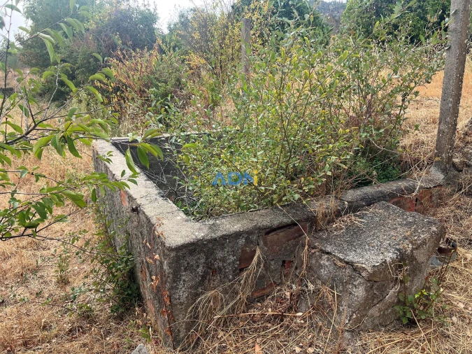 Quinta T1 para Venda em Louriçal do Campo Foto 56