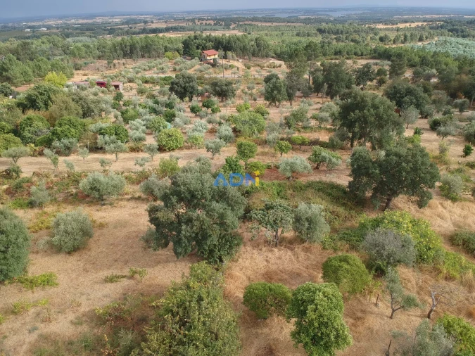 Quinta T1 para Venda em Louriçal do Campo Foto 5