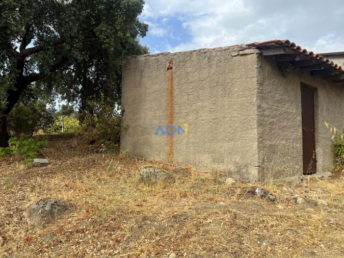 Quinta T1 para Venda em Louriçal do Campo Foto 51