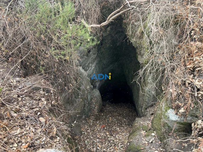 Quinta T1 para Venda em Louriçal do Campo Foto 52