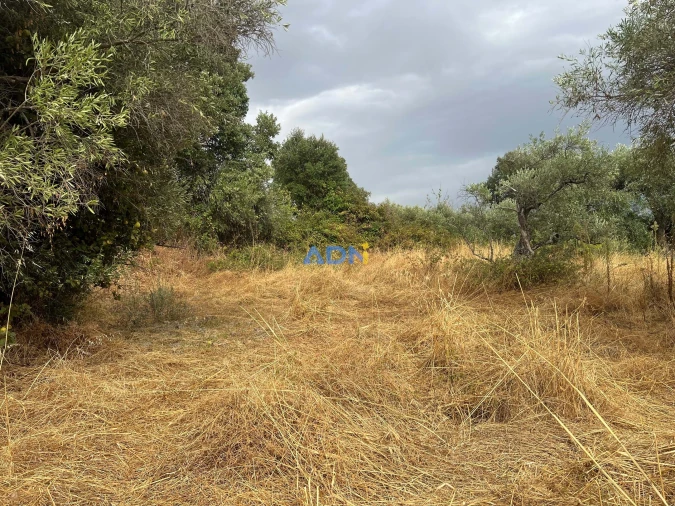 Quinta T1 para Venda em Louriçal do Campo Foto 50