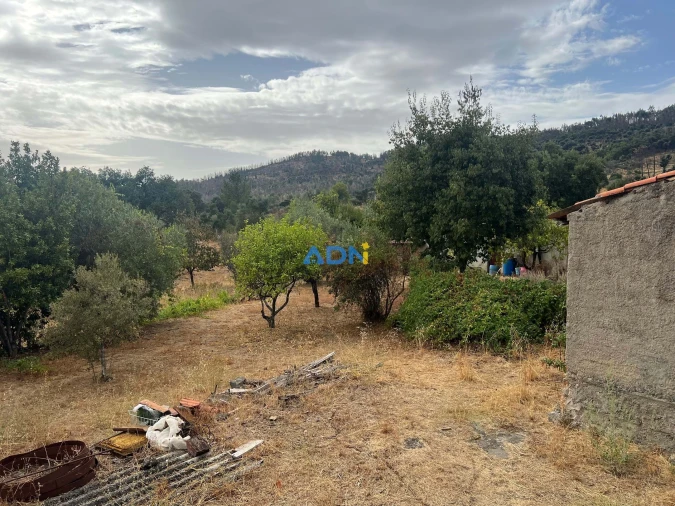 Quinta T1 para Venda em Louriçal do Campo Foto 24