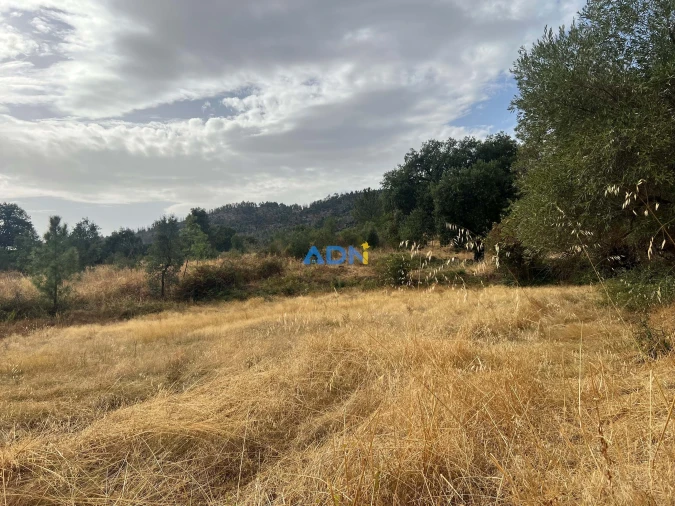 Quinta T1 para Venda em Louriçal do Campo Foto 45