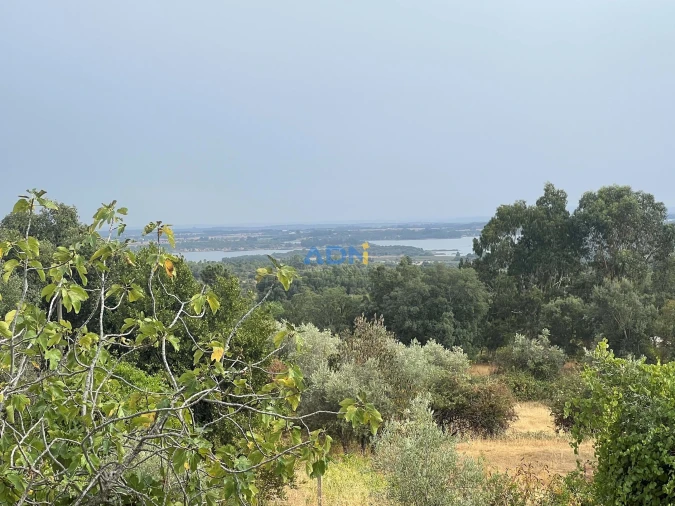 Quinta T1 para Venda em Louriçal do Campo Foto 65