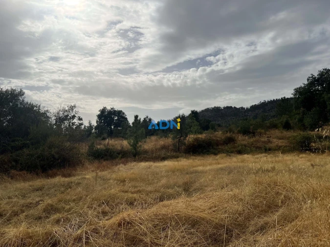 Quinta T1 para Venda em Louriçal do Campo Foto 46