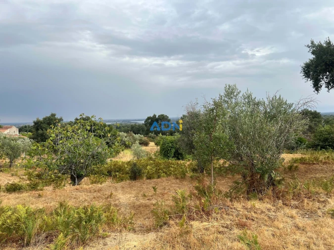 Quinta T1 para Venda em Louriçal do Campo Foto 64