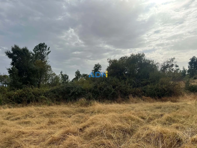 Quinta T1 para Venda em Louriçal do Campo Foto 48