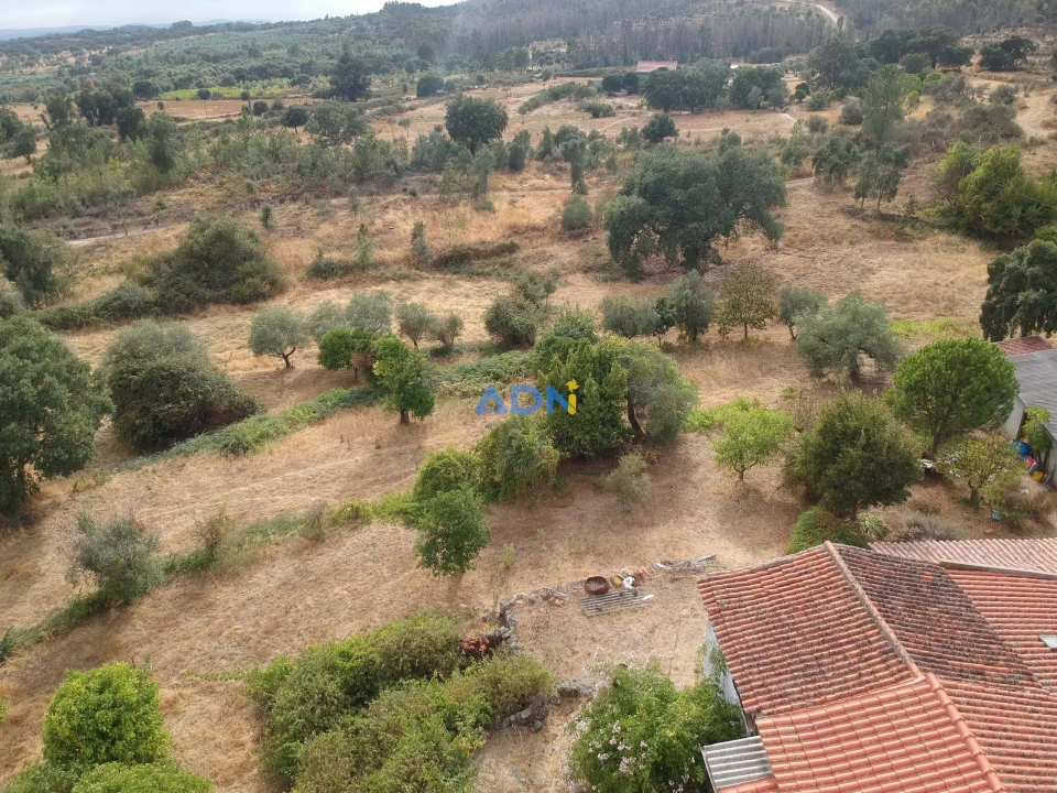 Quinta T1 para Venda em Louriçal do Campo Foto 1