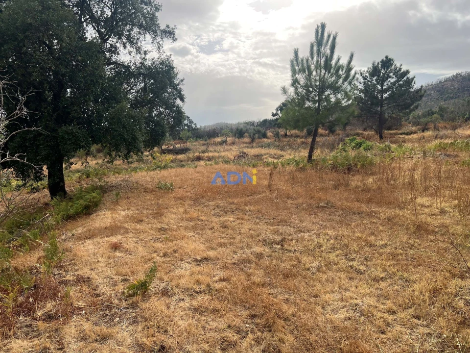 Quinta T1 para Venda em Louriçal do Campo Foto 62