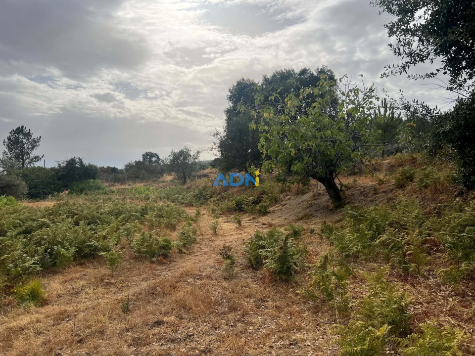 Quinta T1 para Venda em Louriçal do Campo Foto 59