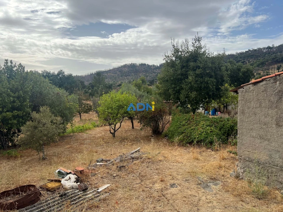 Quinta T1 para Venda em Louriçal do Campo Foto 24