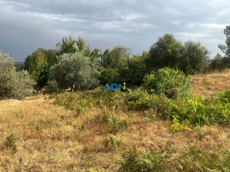 Quinta T1 para Venda em Louriçal do Campo Foto 68