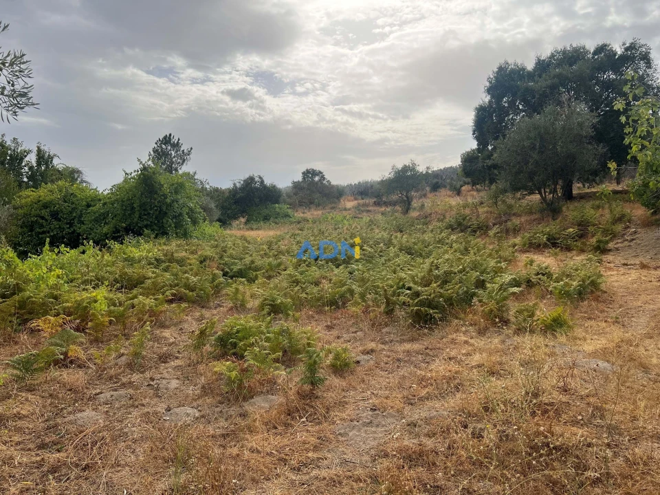 Quinta T1 para Venda em Louriçal do Campo Foto 58