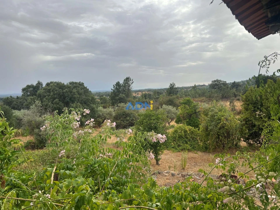 Quinta T1 para Venda em Louriçal do Campo Foto 22