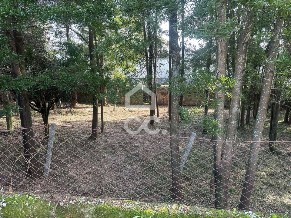 Moradia T6 para Venda em Santa Maria Maior e Monserrate e Meadela Foto 7