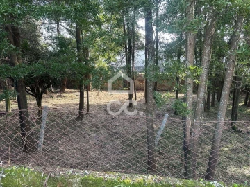 Moradia T6 para Venda em Santa Maria Maior e Monserrate e Meadela