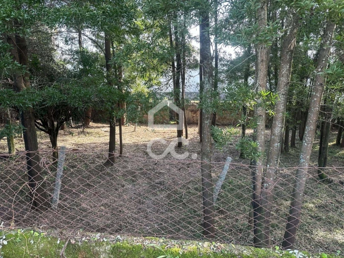 Moradia T6 para Venda em Santa Maria Maior e Monserrate e Meadela Foto 7