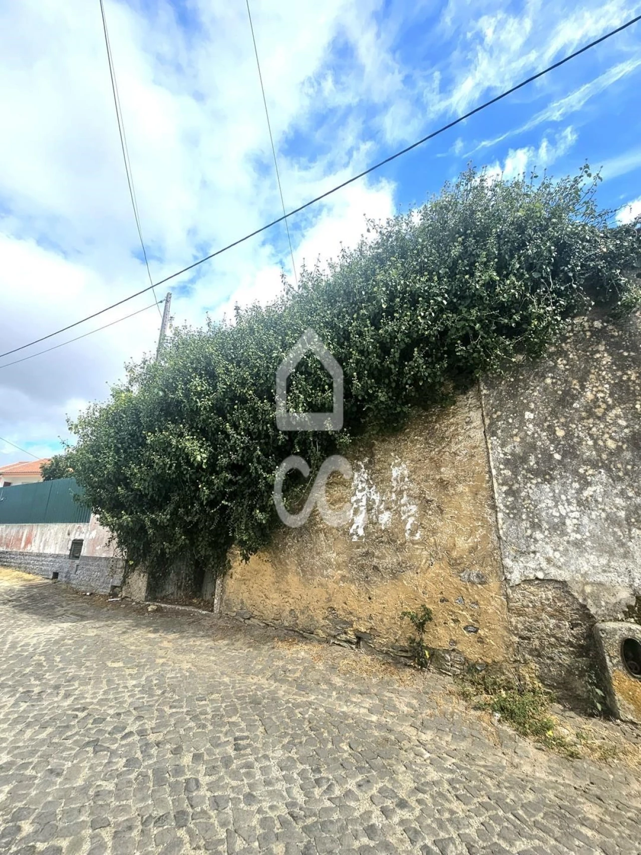 Terreno para Venda em Igreja Nova e Cheleiros Foto 3