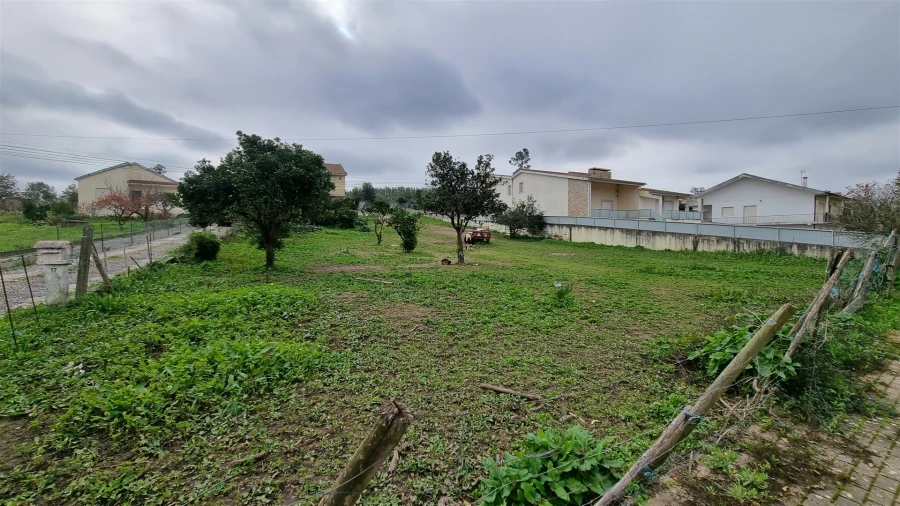 Terreno Agricola ou Rústico para Venda em Granja do Ulmeiro Foto 3