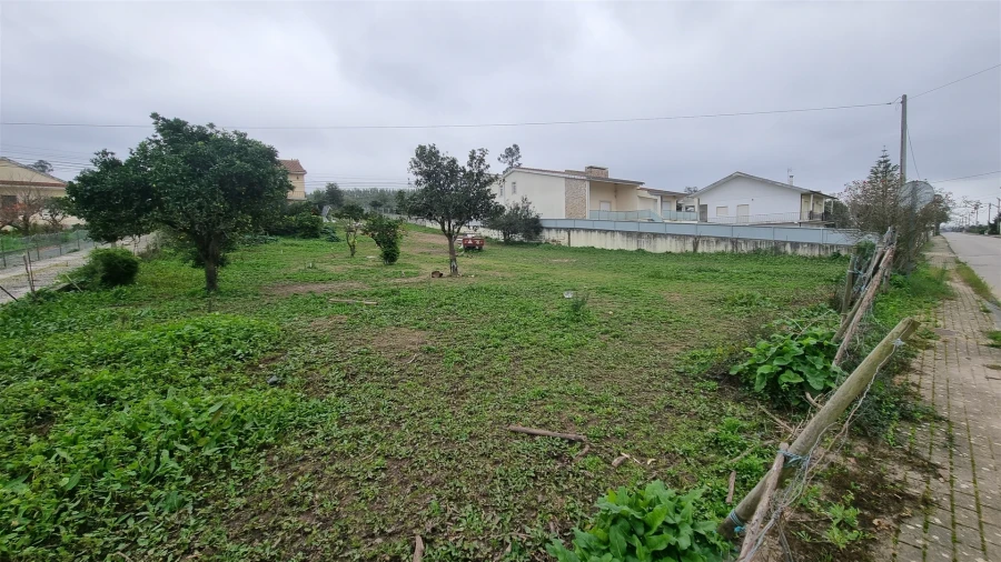 Terreno Agricola ou Rústico para Venda em Granja do Ulmeiro Foto 12