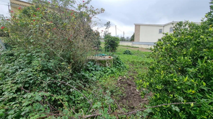 Terreno Agricola ou Rústico para Venda em Granja do Ulmeiro Foto 5