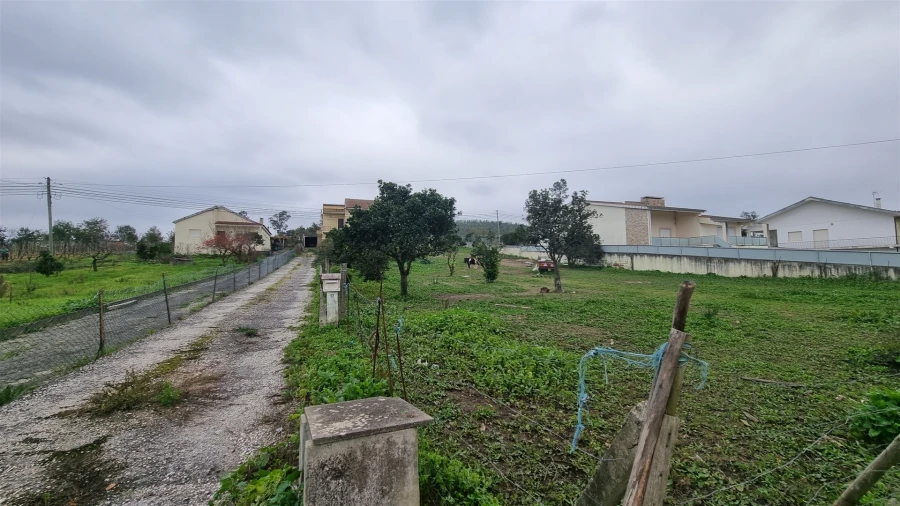 Terreno Agricola ou Rústico para Venda em Granja do Ulmeiro Foto 11