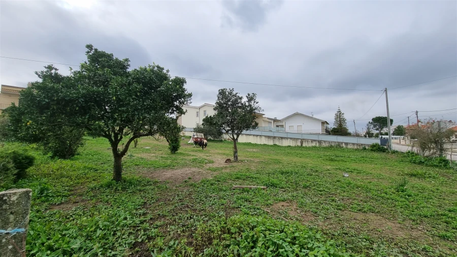 Terreno Agricola ou Rústico para Venda em Granja do Ulmeiro Foto 2