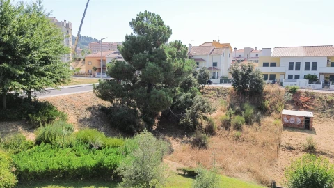 Terreno para Venda em Castelo Branco