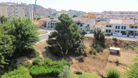 Terreno para Venda em Castelo Branco