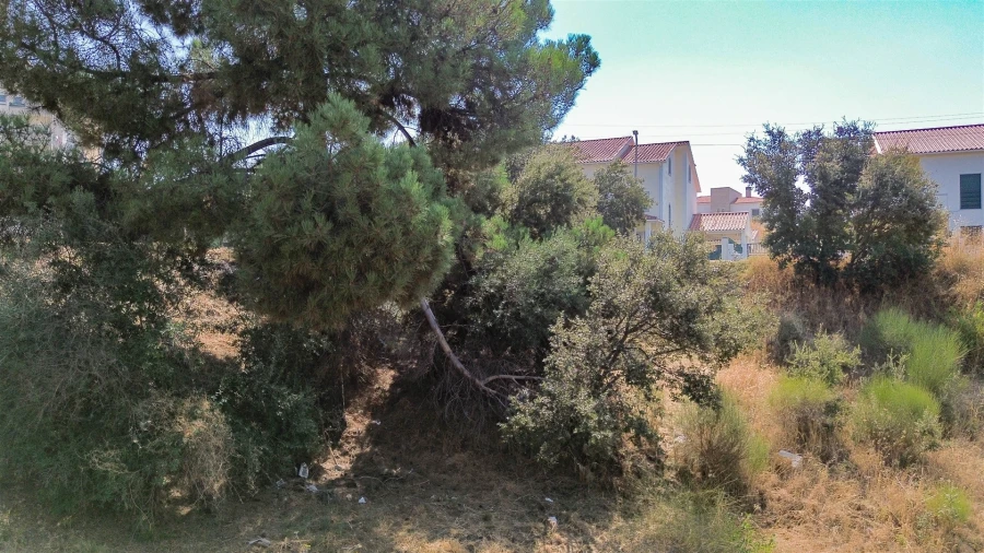 Terreno para Venda em Castelo Branco Foto 20