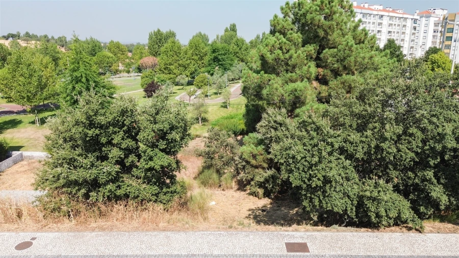 Terreno para Venda em Castelo Branco Foto 21