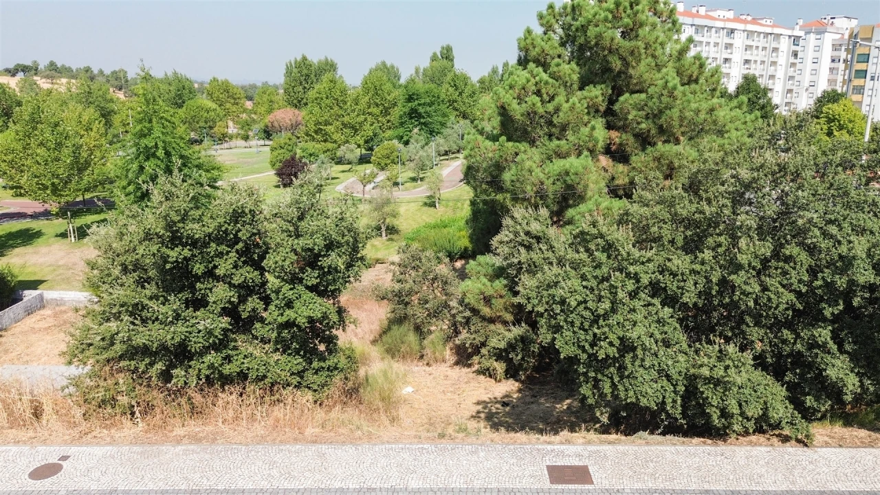 Terreno para Venda em Castelo Branco Foto 21